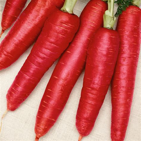Red carrots. Things To Know About Red carrots. 